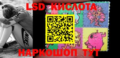ПСИЛОЦИБИНОВЫЕ ГРИБЫ Татарск