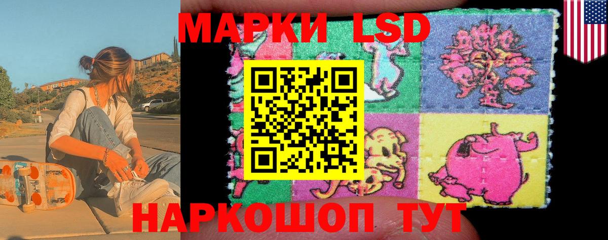 где продают наркотики  Наркотические марки 1,5мг  Наркотические марки 1,5мг  Марки N-bome  Вход с VPN  Новотроицк 