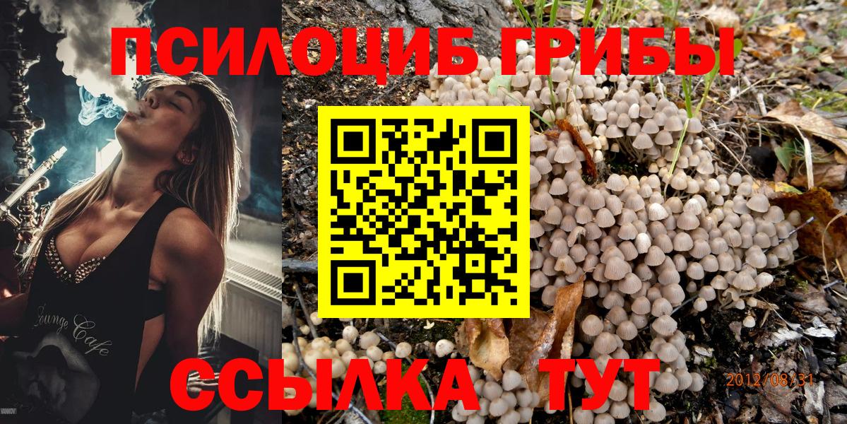 где купить наркоту  Галлюциногенные грибы Cubensis  Вход с VPN  Новотроицк 