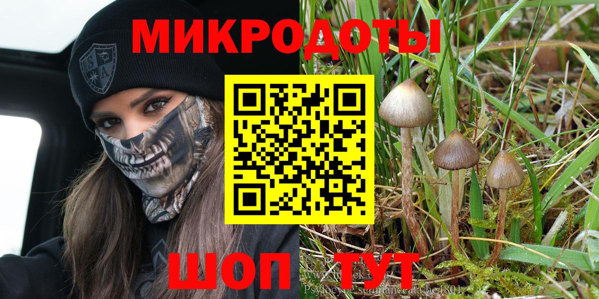 Галлюциногенные грибы мухоморы Новотроицк